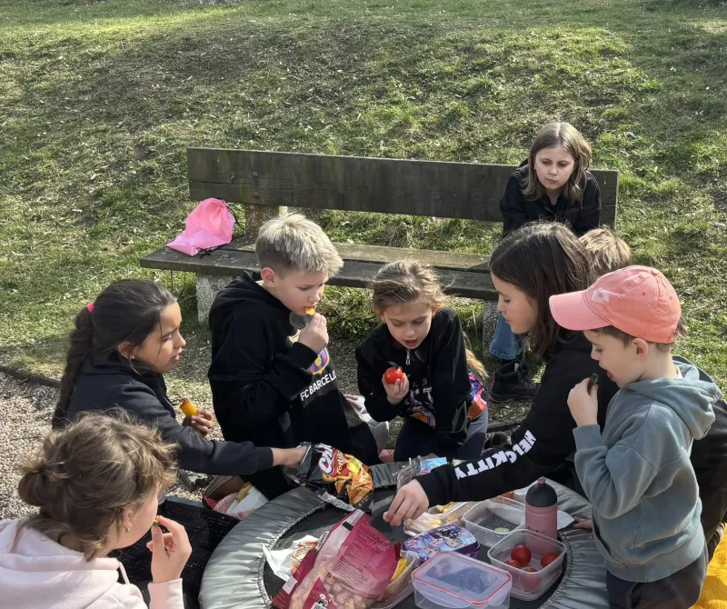 Piknik