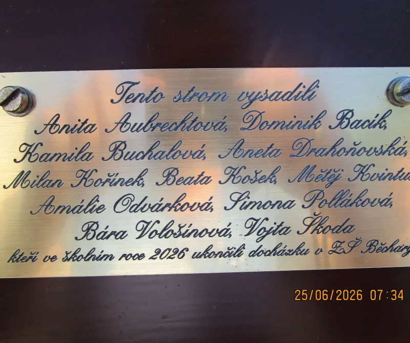 Sázení stromu-5.tř.