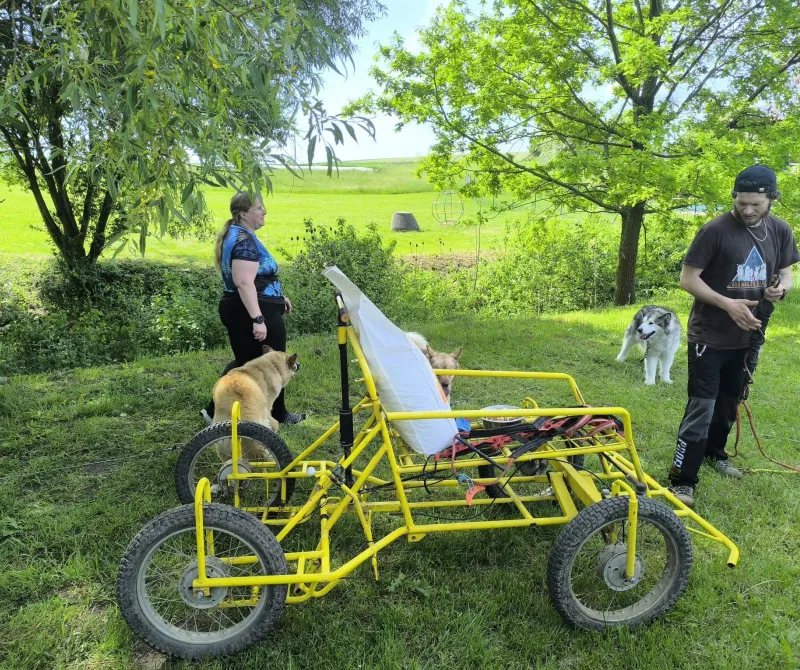 Psí spřežení v MŠ